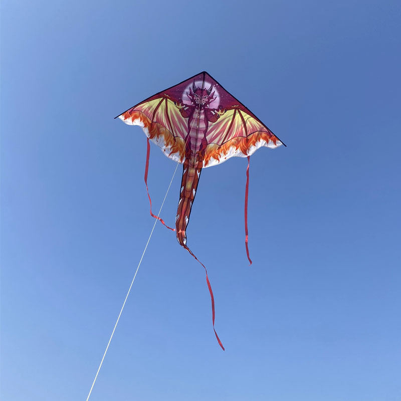 Layang-layang naga besar untuk - Kite Easy Fly Kids ulasan dan harga
