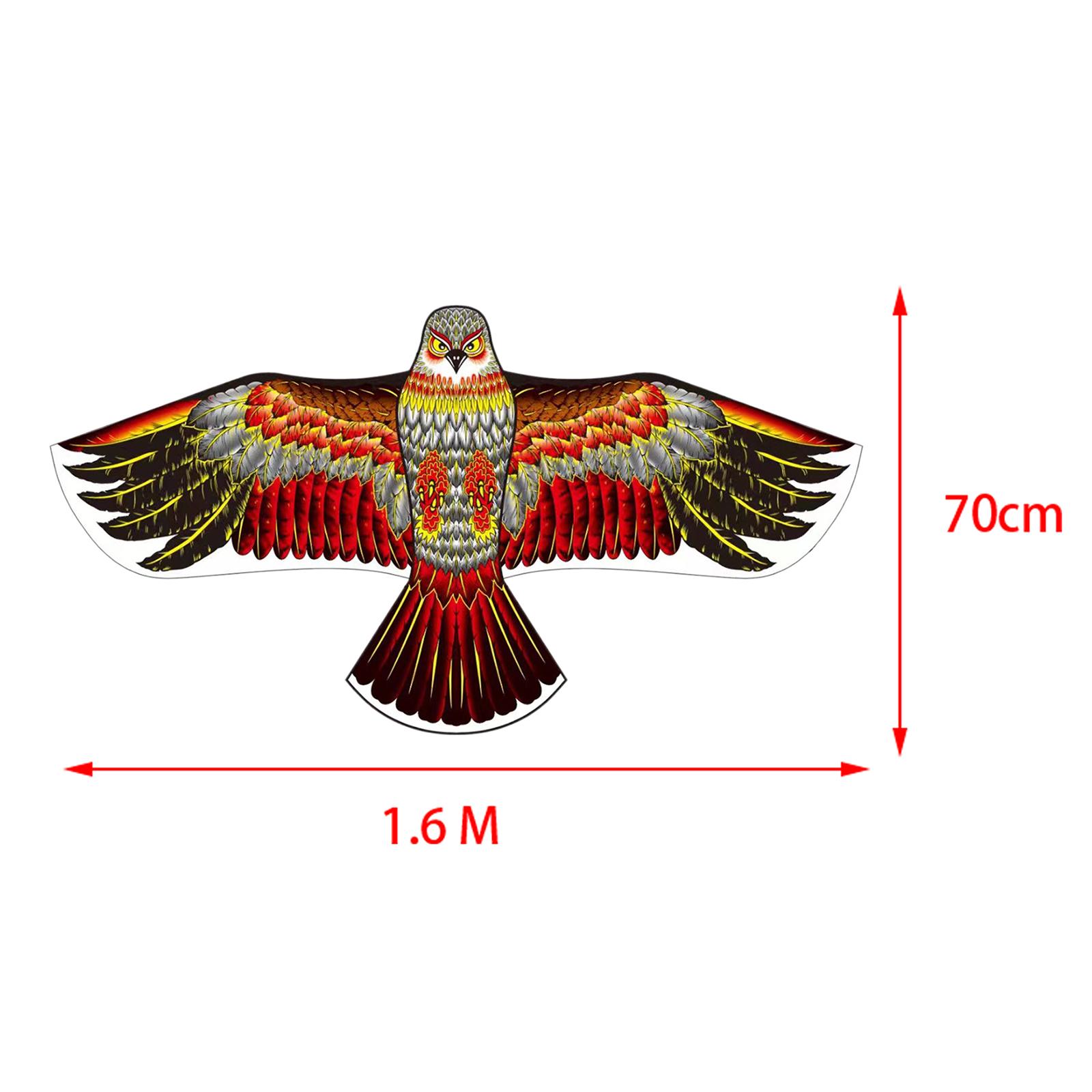 Layang-layang Elang Raksasa 63 - Kite Easy Fly Kids ulasan dan harga