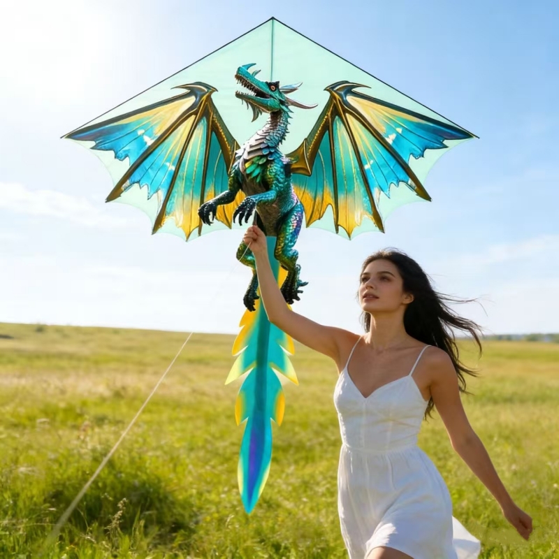 Layang-layang naga mainan terb - Kite Easy Fly Kids ulasan dan harga