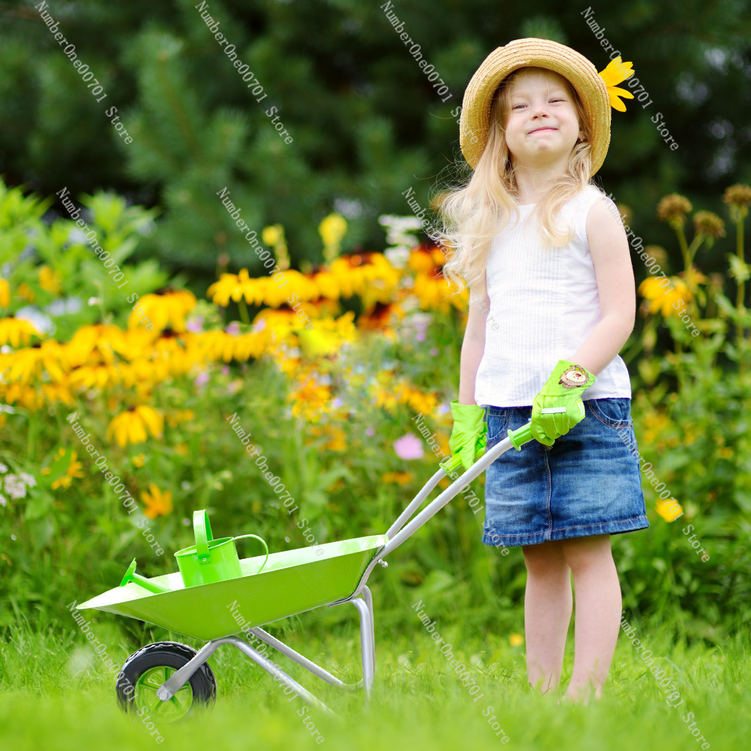 Gerobak Dorong Anak untuk Luar - Play Kids Outdoor ulasan dan harga