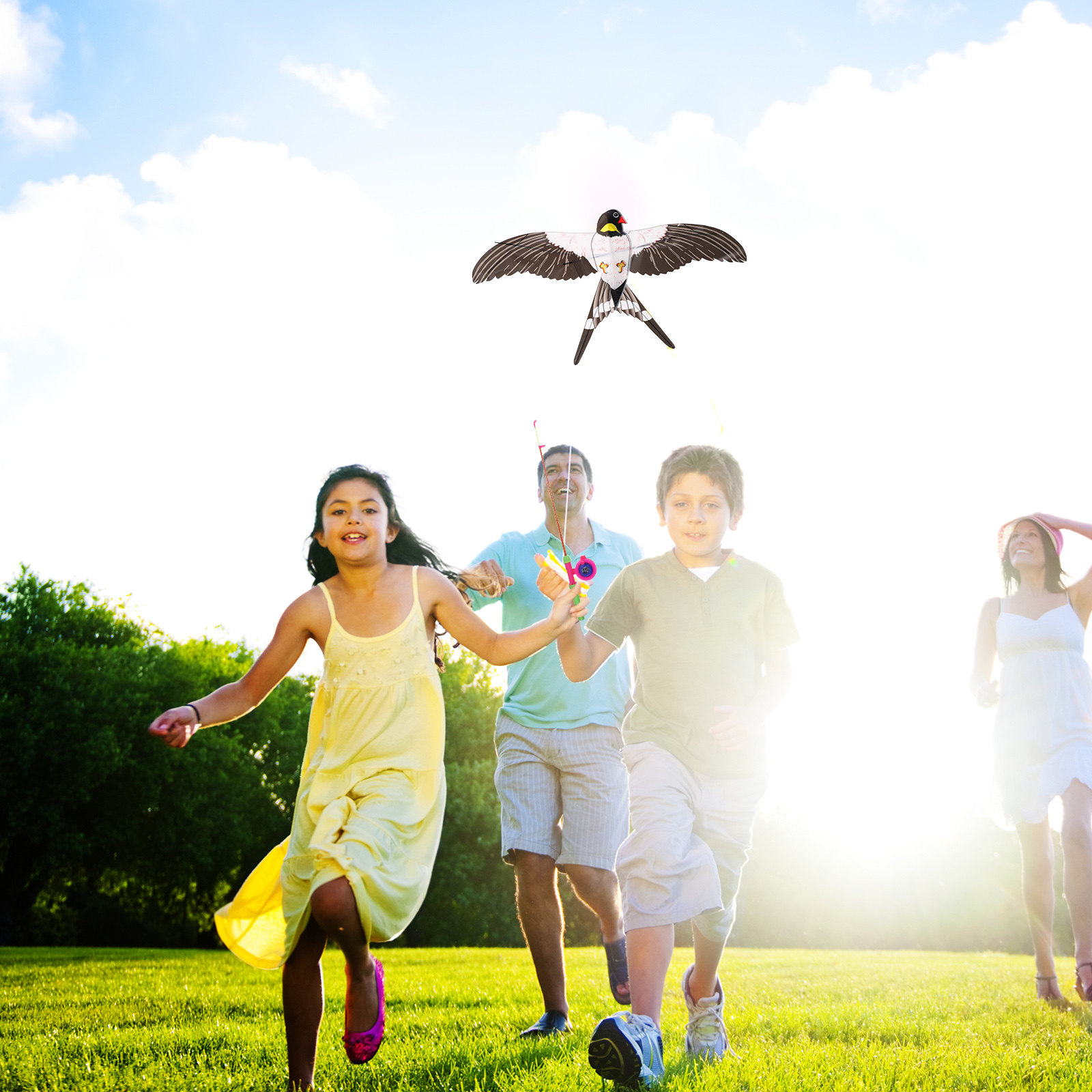 Layang-layang Burung yang Muda - Kite Easy Fly Kids ulasan dan harga